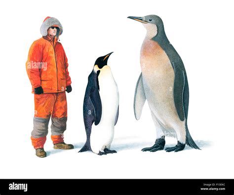 mega penguin